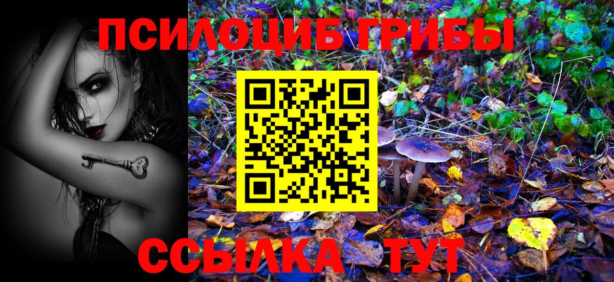 Галлюциногенные грибы Cubensis Брянск